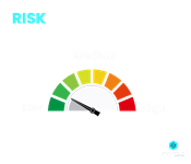 What is Risk