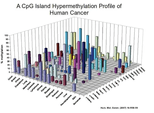 Bad Data Visualization Examples